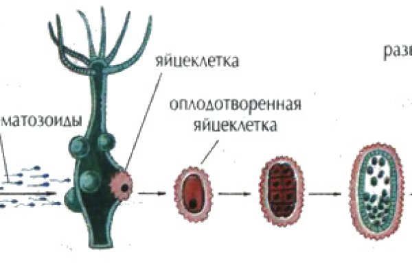 Кракен ссылка в тор