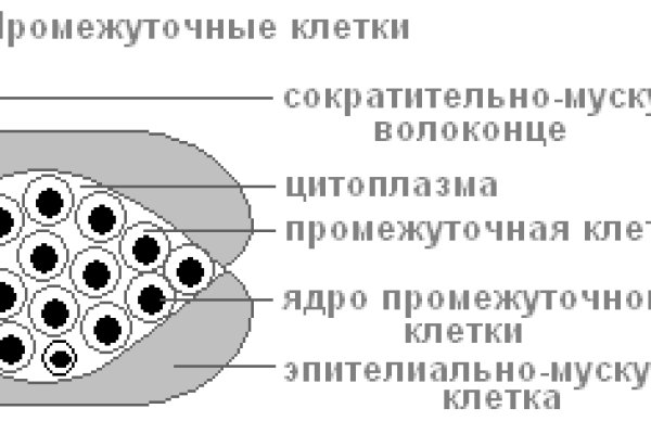 Вход на кракен зеркало